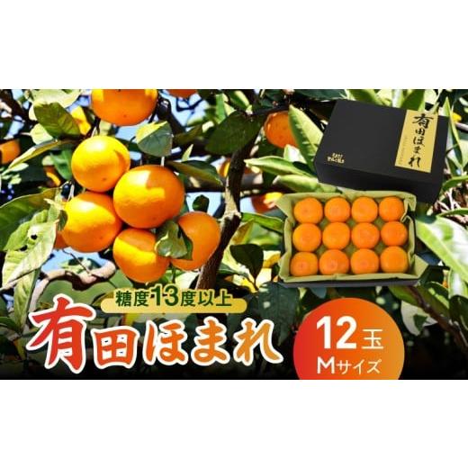 ふるさと納税 果物類 みかん 和歌山県 湯浅町 U6309_ 高糖度 13度 以上 有田ほまれ Mサイズ 12玉 和歌山県産 国産 有田みかん 光センサー選別 酸味 オリジナル…