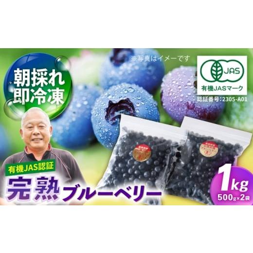 ふるさと納税 果物類 長崎県 波佐見町 有機JAS認証 有機ブルーベリー 冷凍 1kg(500g×2袋) 国産 百笑会