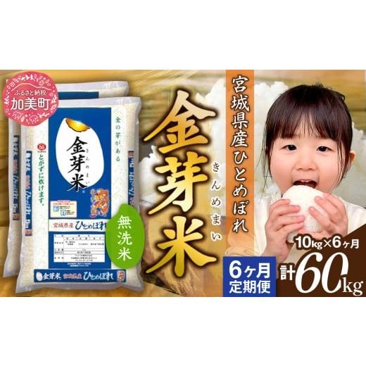 ふるさと納税 無洗米 宮城県 加美町 定期便 6回 金芽米 無洗米 令和7年産 宮城県産 ひとめぼれ 計60kg( 10kg ×6回) カメイ 宮城県 加美町 km-my-knm10-t6-r7…