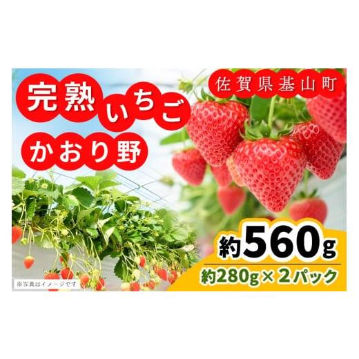 ふるさと納税 いちご 佐賀県 基山町 先行受付 2026年1月より発送 農場直送 かおり野(約280g×2P) ふるさと納税 基山町産 いちご イチゴ 朝採れ 完熟果 K10000…