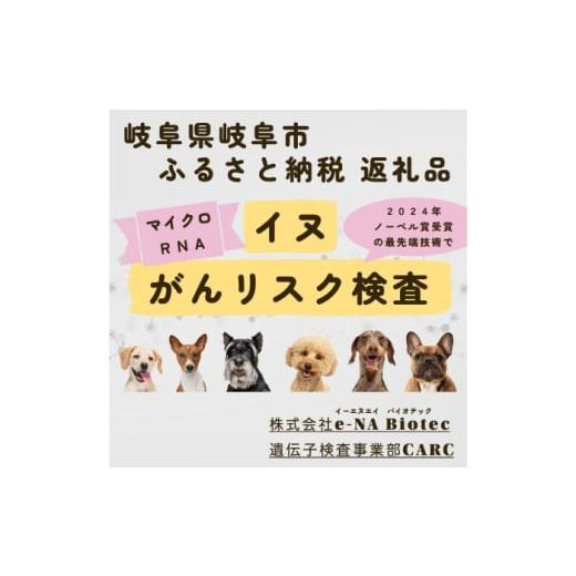 ふるさと納税 雑貨・日用品 岐阜県 岐阜市 イヌ がんリスク検査 大切な家族のために ?ペット 検査キット 早期発見 岐阜市 / 株式会社e-NA Biotec