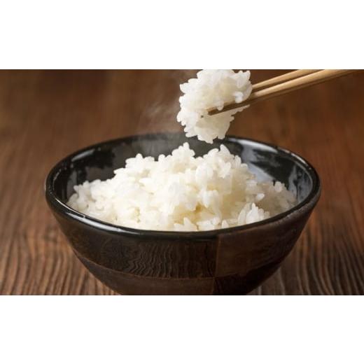 ふるさと納税 米 岐阜県 岐阜市 令和7年産 ハツシモ 白米 5kg 精米 米 ブランド米 岐阜市 / 川瀬ファーム