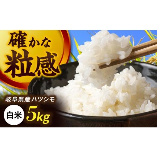 ふるさと納税 米 岐阜県 岐阜市 令和7年産 ハツシモ 白米 5kg 精米 米