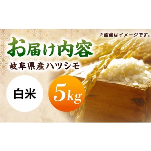ふるさと納税 米 岐阜県 岐阜市 令和7年産 ハツシモ 白米 5kg 精米 米