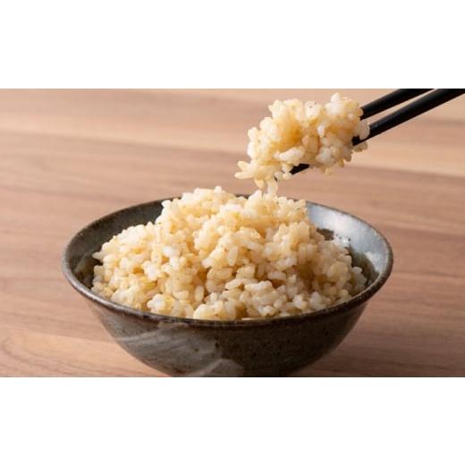 ふるさと納税 米 岐阜県 岐阜市 令和7年産 ハツシモ 玄米 5kg 腸活 ヘルシー 米 ブランド米 岐阜市 / 川瀬ファーム