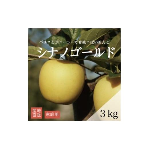 ふるさと納税 りんご 青森県 藤崎町 産地直送 シナノゴールド 家庭用 3kg(7〜10個) 1663950