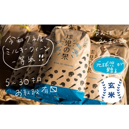 ふるさと納税 米 ミルキークイーン 茨城県 つくば市 令和7年産 一等米 球児の米 ( ミルキークイーン玄米 ) 5kg | 米 こめ コメ お米 ご飯 5kg 10kg 20kg 30k…