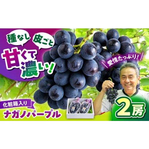 ふるさと納税 果物類 ぶどう 熊本県 山鹿市 先行予約 ぶどう ナガノパープル 2房(約800g〜1.2kg) 箱入り ブドウ 葡萄 房 大粒 種なし 皮ごと 食べれる ギフ…