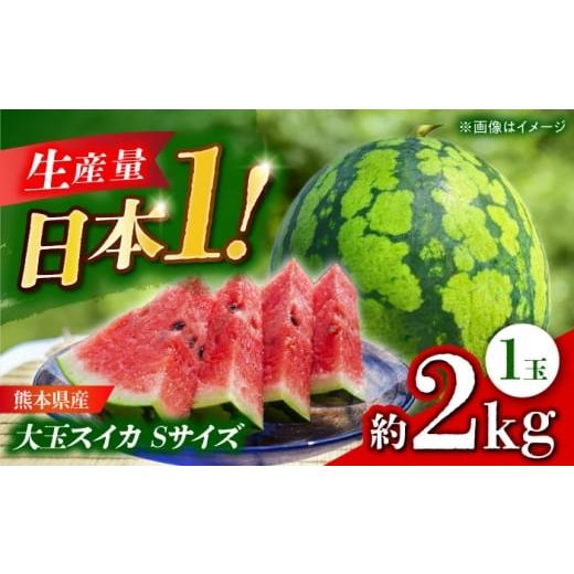 ふるさと納税 スイカ 熊本県 山鹿市 先行予約 大玉スイカ Sサイズ 1玉入り 約2kg すいか 小玉 熊本 フルーツ 野菜 果物 日本フルーツ株式会社