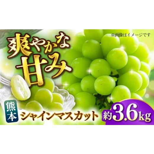 ふるさと納税 ぶどう マスカット 熊本県 山鹿市 先行予約 数量限定 シャインマスカット 約3.6kg マスカット 葡萄 ぶどう 熊本 フルーツ 野菜 果物 日本フルー…