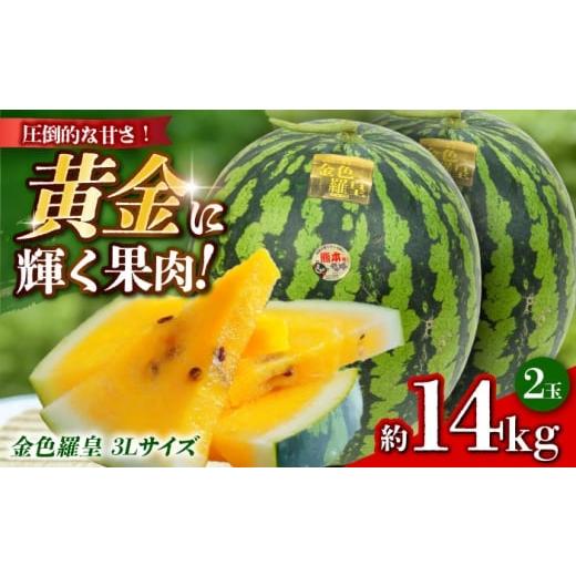 ふるさと納税 スイカ 熊本県 山鹿市 先行予約 金色羅皇 スイカ 3Lサイズ 2玉 約14kg すいか 黄色 熊本 フルーツ 野菜 果物 日本フルーツ株式会社