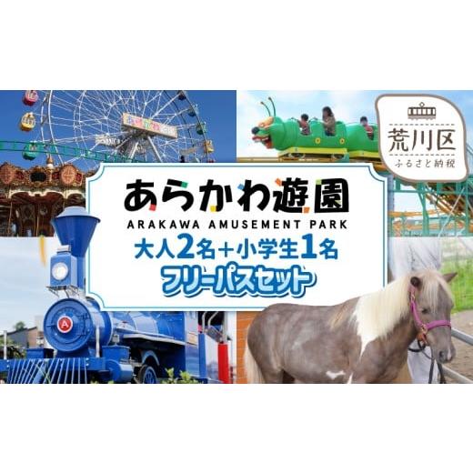 ふるさと納税 入場券・優待券 東京都 荒川区 あらかわ遊園フリーパス(大人2枚+小学生1枚)3枚セット 015-006