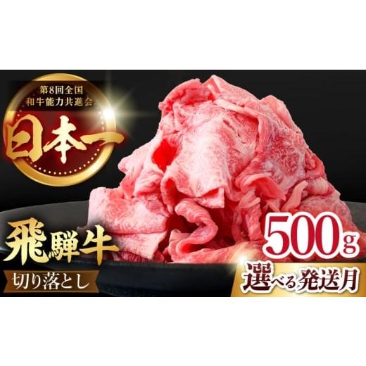 ふるさと納税 牛肉 すき焼き 岐阜県 多治見市 2月発送 飛騨牛 切り落とし 500g ( 250g × 2 ) 牛肉 国産 ブランド牛 和牛 多治見市 / 肉のひぐち TDC009-2 2…