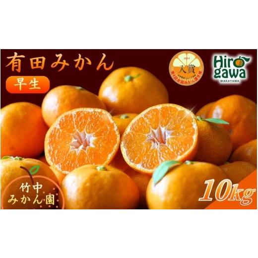 ふるさと納税 果物類 みかん 和歌山県 広川町 早生 有田みかん10kg (大玉)2L〜 11月〜1月順次発送予定 tkn004-wr-l-10-12
