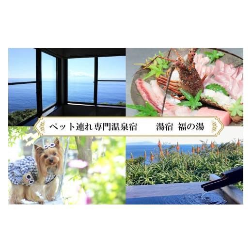 ふるさと納税 宿泊券 高級宿 静岡県 東伊豆町 愛犬と泊まる源泉かけ流しの小さな湯宿 湯宿福の湯 特定日限定宿泊券1泊2食付き1室2名様ご利用 1401 / 福の…
