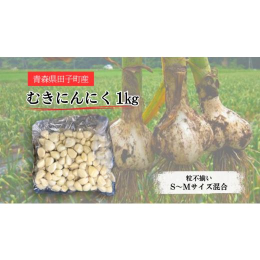 ふるさと納税 野菜類 薬味 青森県 田子町 青森県田子町産 むきにんにく1kg(S〜Mサイズ混合)業務用