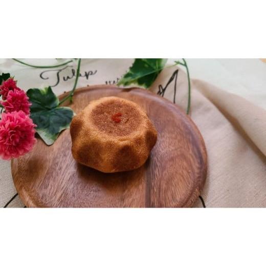 ふるさと納税 パン 菓子パン 鳥取県 北栄町 1162. 鳥取県産 人気総菜パン ツナマヨスター 5個