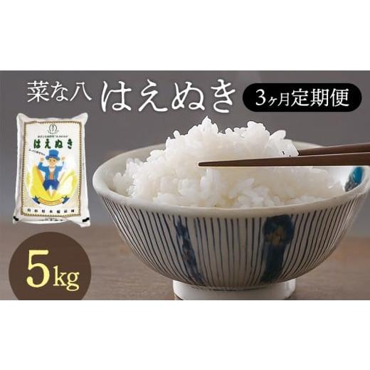 ふるさと納税 米 はえぬき 山形県 鶴岡市 3ヶ月定期便 令和7年産 「菜な八」のお米 はえぬき5kg(5kg×1袋)×3回 庄内観光物産館 3ヶ月