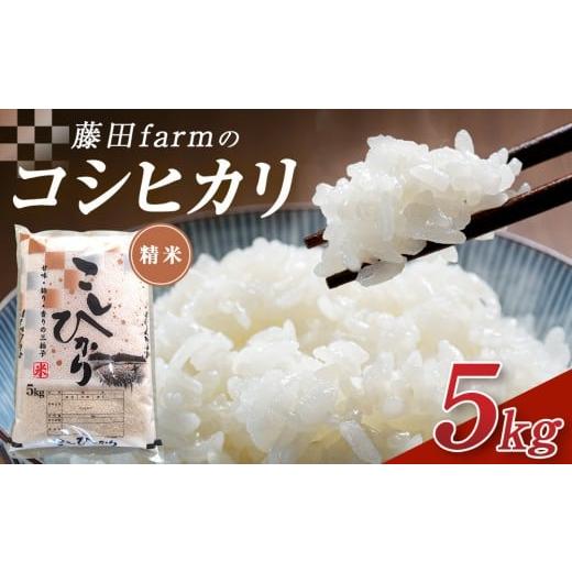 ふるさと納税 米 コシヒカリ 栃木県 大田原市 令和7年産 大田原市 藤田farmのコシヒカリ 5kg |米 お米 新米 コメ こしひかり 栃木県 大田原市 選べる容量 …