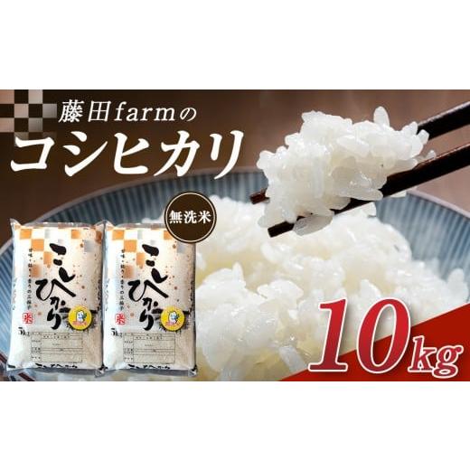 ふるさと納税 米 コシヒカリ 栃木県 大田原市 令和7年産 大田原市 藤田farmのコシヒカリ 無洗米 10kg |栃木県産 米 お米 コメ こしひかり コシヒカリ 栃木県 …