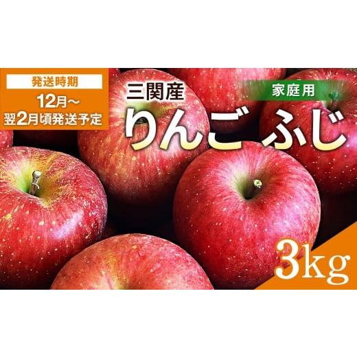 ふるさと納税 りんご 秋田県 湯沢市 三関産 りんご ふじ 家庭用 3kg 秋田県 湯沢市 地場産 果物 フルーツ 林檎 三関果樹研究会