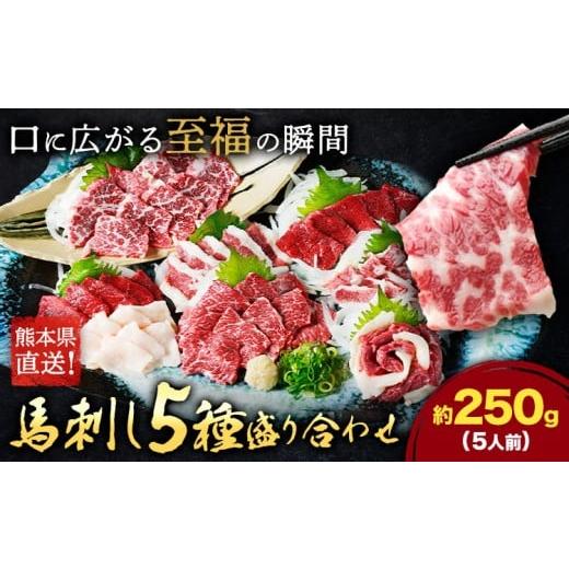 ふるさと納税 馬肉 熊本県 菊池市 馬刺し 5種 盛り合わせ セット 計250g 5人前 熊本直送 赤身 霜降り フタエゴ バラヒモ コーネ 株式会社Foody's[30日以内に…