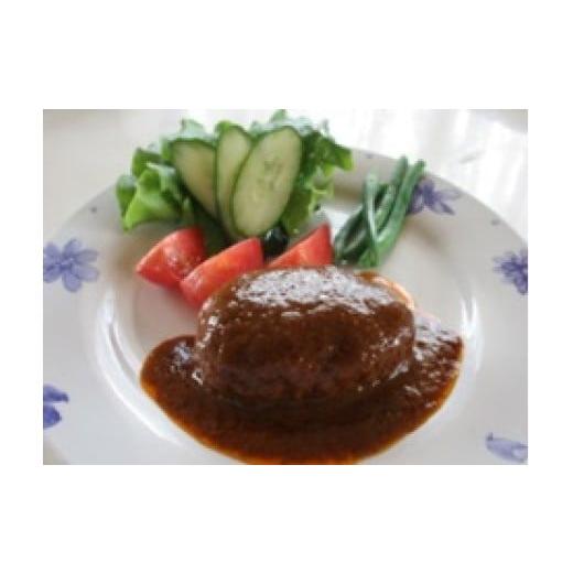 ふるさと納税 肉 ハンバーグ 兵庫県 丹波市 てらミ−ト特製 但馬牛煮込みハンバ−グ5個入