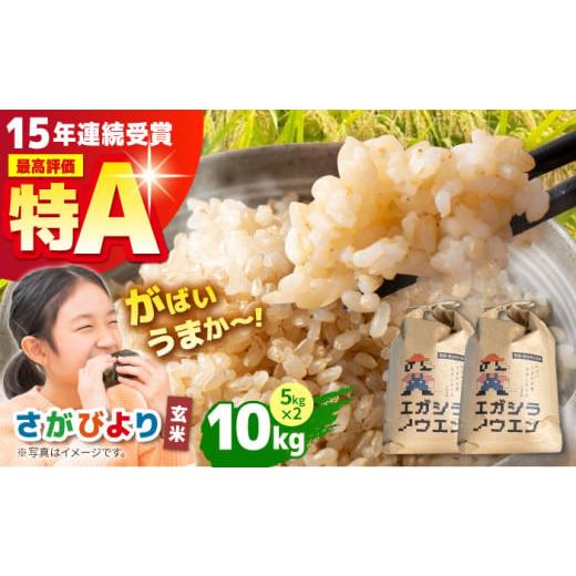 ふるさと納税 玄米 佐賀県 江北町 1月発送 がばいうまかエガシライス ( さがびより ) 玄米 10kg ( 5kg×2袋 ) 江頭農園 HAU003 2026年1月発送