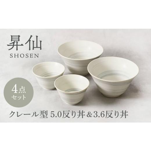 ふるさと納税 食器・グラス 茶碗 岐阜県 土岐市 美濃焼 昇仙 しょうせん クレール型 5.0反り丼 & 3.6反り丼 各2点 合計4点セット カネ定製陶 丼 ボウル セ…