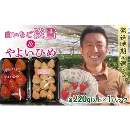 ふるさと納税 いちご 群馬県 富岡市 群馬県産いちごセット やよいひめ・淡雪 2026年1月4日〜3月31日発送 (各220g以上×1パック) 群馬県産 オリジナル品種 いち…