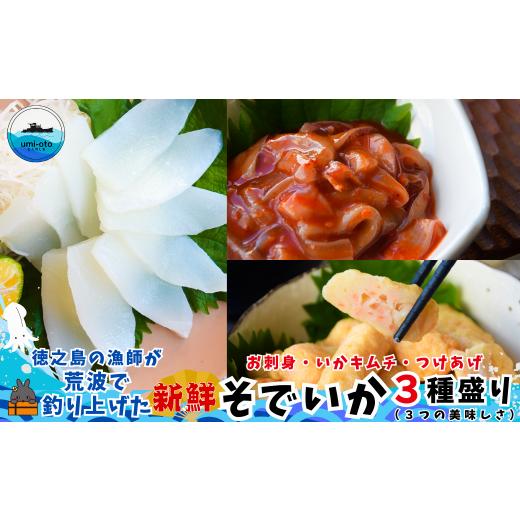 ふるさと納税 イカ 鹿児島県 徳之島町 2513 徳之島の漁師が荒波で釣り上げたそでいか 3種盛り お刺身・いかキムチ・つけあげ ( 3つの美味しさ ソデイカ いか…