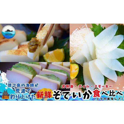 ふるさと納税 イカ 鹿児島県 徳之島町 2512 徳之島の漁師が荒波で釣り上げたそでいか 食べ比べ お刺身・ボイル・スモーキー ( 3つの美味しさ ソデイカ いか …