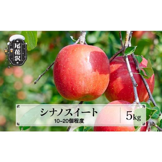ふるさと納税 りんご 山形県 尾花沢市 先行予約 りんご シナノスイート 5kg (10〜20個程度) 秀品 10月中旬~11月中旬頃発送 令和8年産 2026年産 山形県産 フル…
