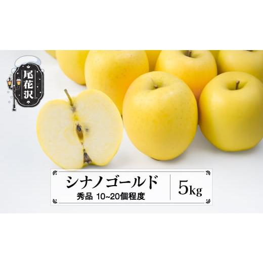 ふるさと納税 りんご 山形県 尾花沢市 先行予約 りんご シナノゴールド 5kg (10〜20個程度) 秀品 10月中旬~11月中旬頃発送 令和8年産 2026年産 山形県産 フル…