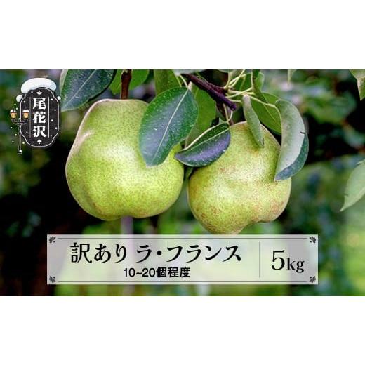 ふるさと納税 梨 山形県 尾花沢市 先行予約 訳あり ラ・フランス 約5kg (10~20個程度) 無印品 11月上旬~下旬頃発送 山形県産 フルーツ 果物 くだもの 令和8年…