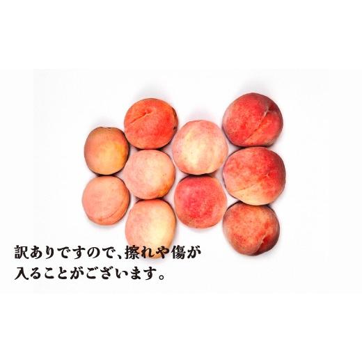 ふるさと納税 もも 山形県 尾花沢市 先行予約 訳あり 桃 白桃 約5kg (10〜25個程度) 無印品 8月上旬頃~10月中旬頃発送 山形県産 フルーツ 果物 くだもの 令和8…の画像