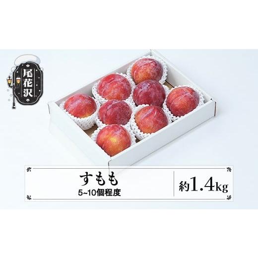 ふるさと納税 もも 山形県 尾花沢市 先行予約 すもも 秋姫 果物 秀品 約1.4kg (5~10個程度) 9月中旬~10月上旬頃発送 山形県産 フルーツ 果物 くだもの スモモ …