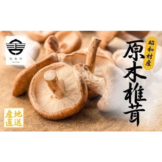 ふるさと納税 野菜類 きのこ 福島県 昭和村 昭和村産原木しいたけ200g×4パック 椎茸 しいたけ きのこ 茸 料理 調理 ご飯 ごはん 原木しいたけ 野菜 青木農園