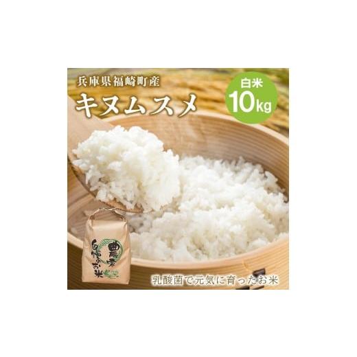 ふるさと納税 米 きぬむすめ 兵庫県 福崎町 新米 白米 10kg 令和7年産 兵庫県産キヌムスメ 食味スコア80 冷めても美味しい おにぎりにおすすめ お弁当におすす…