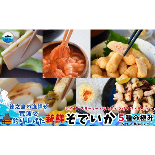 ふるさと納税 イカ 鹿児島県 徳之島町 2514 徳之島の漁師が荒波で釣り上げたそでいか 5種の極み ボイル・スモーキー・いかキムチ・つけあげ ・炙りげそ( 5つ…