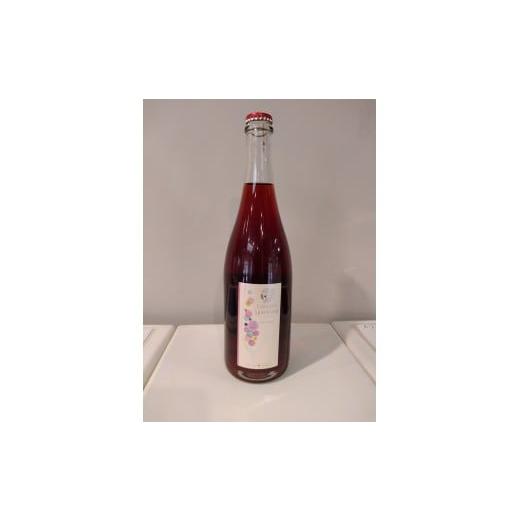 ふるさと納税 ワイン スパークリングワイン 長野県 塩尻市 サンサンワイナリー コンコードスパークリング2017 | ワイン コンコード スパークリング ぶどう サ…