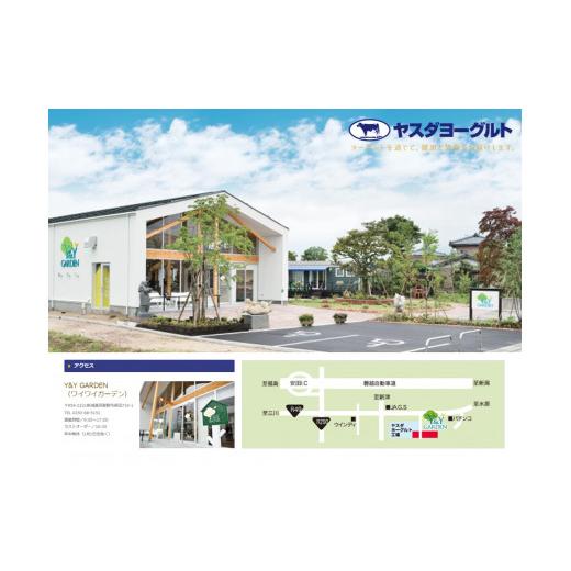 ふるさと納税 飲料類 乳飲料 新潟県 阿賀野市  3ヶ月定期便 ヤスダヨーグルト 800g×10本×3回 大ボトル ヨーグルト まるでスイーツ 無添加 搾りたて こだわり…の画像