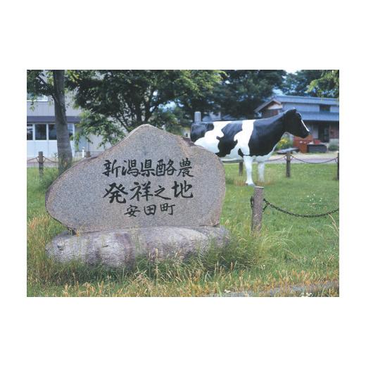 ふるさと納税 飲料類 乳飲料 新潟県 阿賀野市  3ヶ月定期便 ヤスダヨーグルト 800g×10本×3回 大ボトル ヨーグルト まるでスイーツ 無添加 搾りたて こだわり…の画像