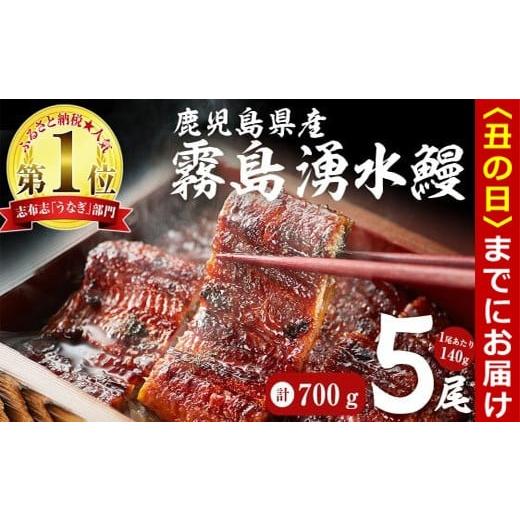 ふるさと納税 うなぎ 鹿児島県 志布志市 丑の日までに配送 数量限定 お礼の品人気No1 霧島湧水鰻の蒲焼き 140g以上×5尾 計700g以上 うなぎ 鰻 ウナギ 5尾 国…