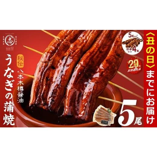 ふるさと納税 うなぎ 鹿児島県 志布志市 丑の日までに配送 志布志市制20周年記念 数量限定 国産 八本木樽鰻の蒲焼(160g以上×5尾) うなぎ肝串4本セット うな…