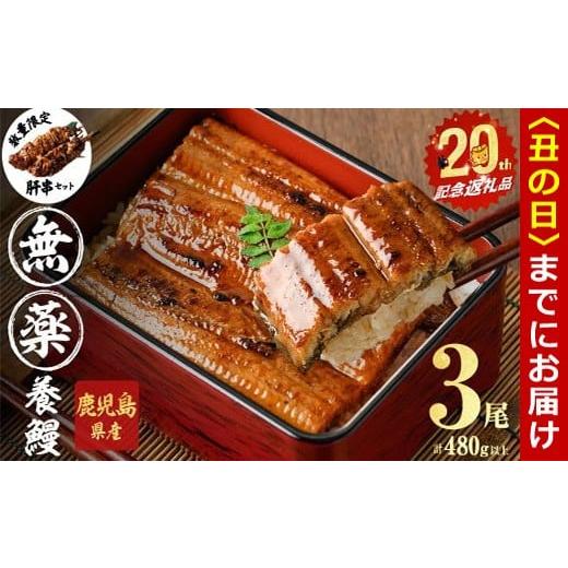 ふるさと納税 うなぎ 鹿児島県 志布志市 丑の日までに配送 無薬養鰻 鹿児島産 山田のうなぎ 計480g以上 (160g以上×3尾) 肝串セット うなぎ 鰻 ウナギ 無薬…