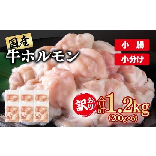 ふるさと納税 牛肉 ホルモン 宮崎県 西都市 訳あり牛ホルモン 小腸 1.2kg 小分け200g×6 国産 ホルモン もつ鍋 焼肉用 国産牛 牛モツ コラーゲン 1-300