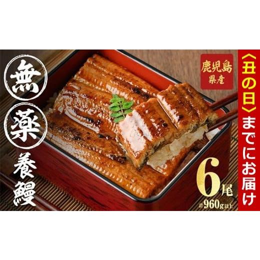 ふるさと納税 うなぎ 鹿児島県 志布志市 丑の日までに配送 無薬養鰻 鹿児島産 山田のうなぎ 計960g以上 (160g以上×6尾) うなぎ 鰻 ウナギ 無薬 養鰻 無投薬 …