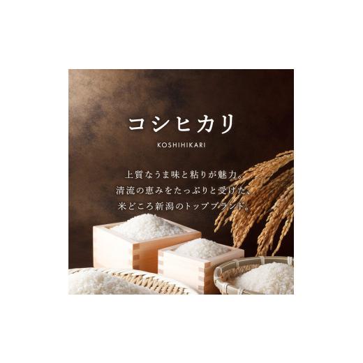 ふるさと納税 米 コシヒカリ 新潟県 見附市 6か月定期便 R7年産 新潟県産 コシヒカリ 5kg （無洗米）新潟のど真ん中 見附市 こしひかり