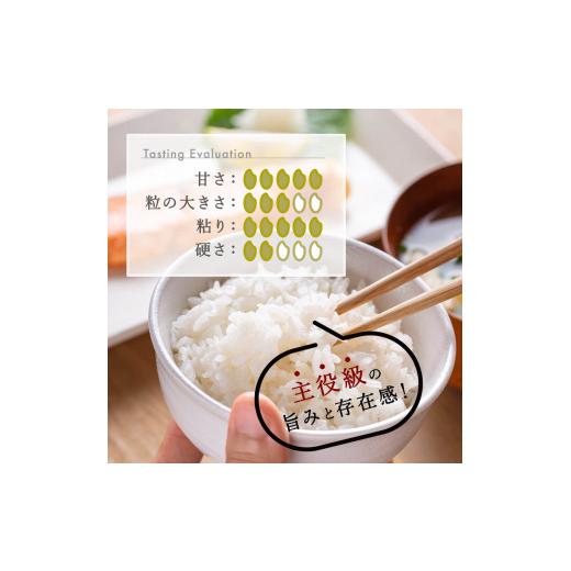 ふるさと納税 米 コシヒカリ 新潟県 見附市 6か月定期便 R7年産 新潟県産 コシヒカリ 5kg （無洗米）新潟のど真ん中 見附市 こしひかり